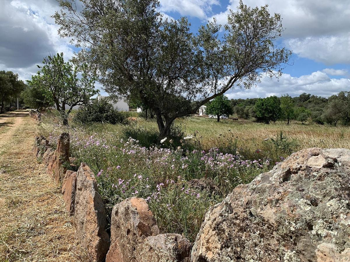 דורגלי Farmhouse La Croisette - Agriturismo מראה חיצוני תמונה