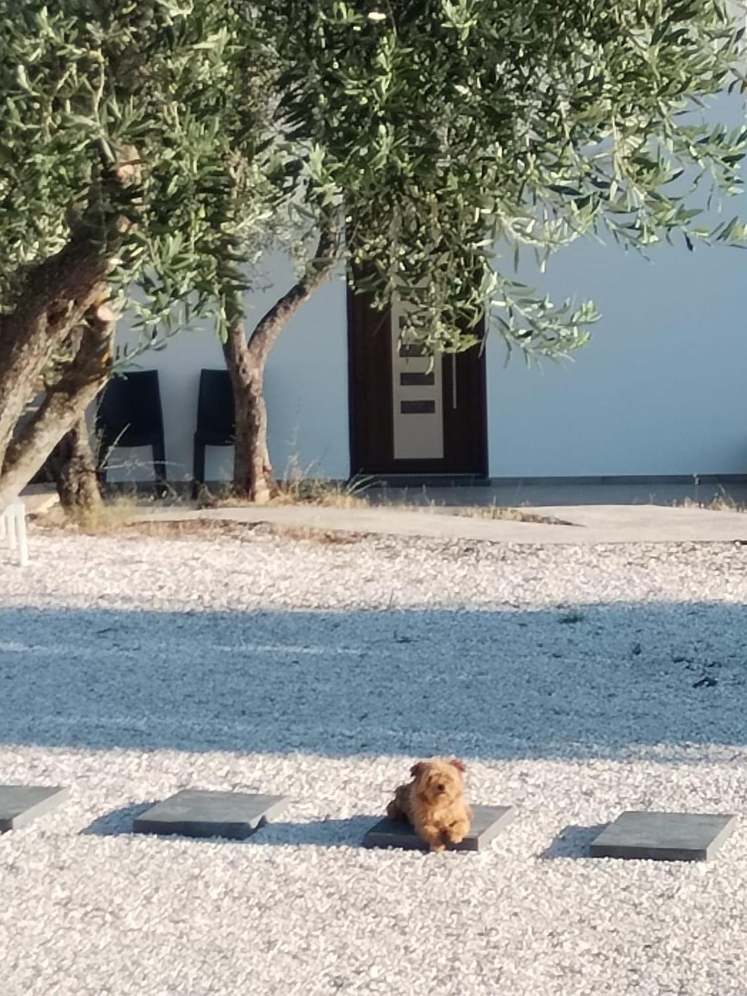 דורגלי Farmhouse La Croisette - Agriturismo מראה חיצוני תמונה