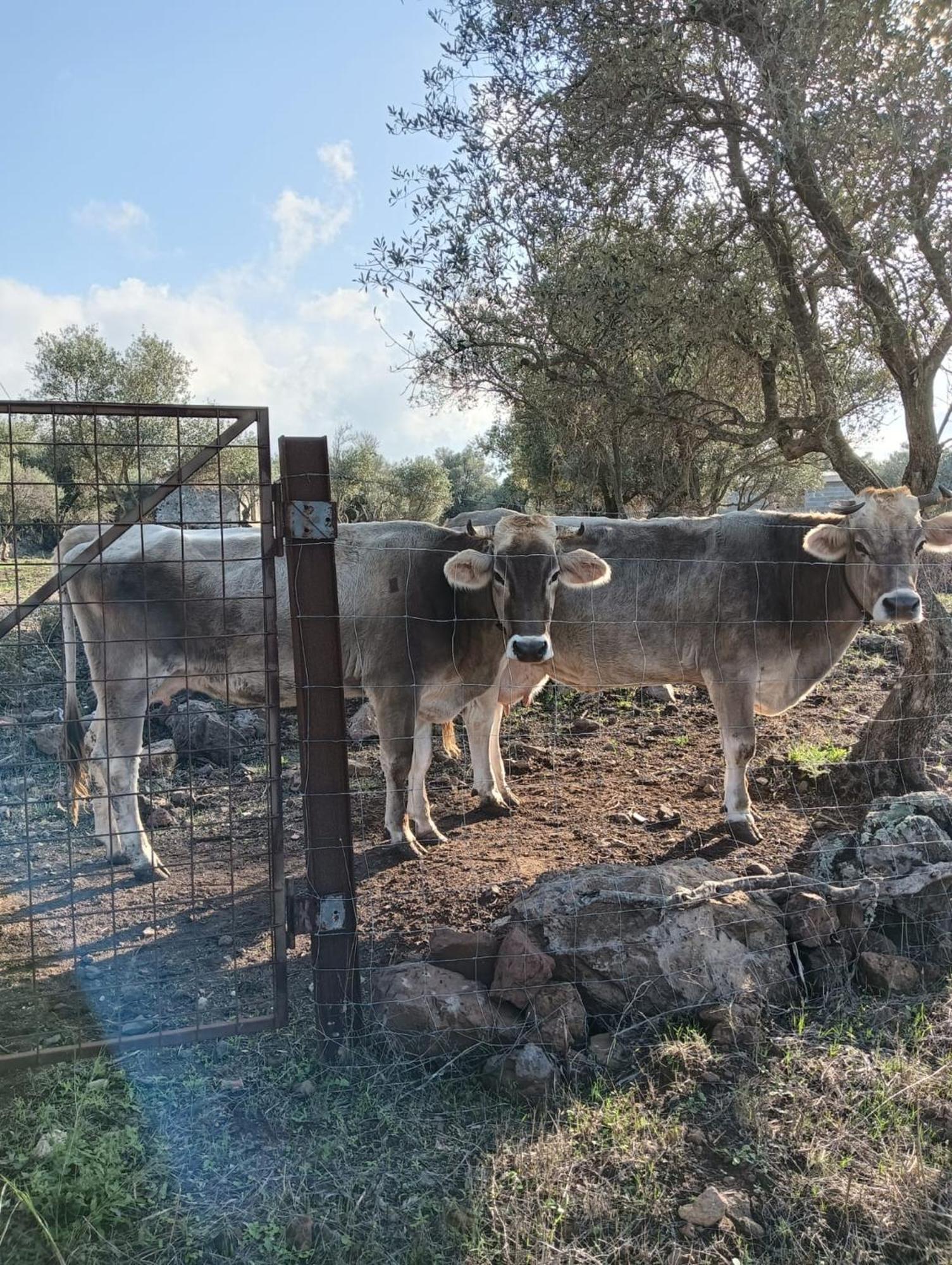 דורגלי Farmhouse La Croisette - Agriturismo מראה חיצוני תמונה