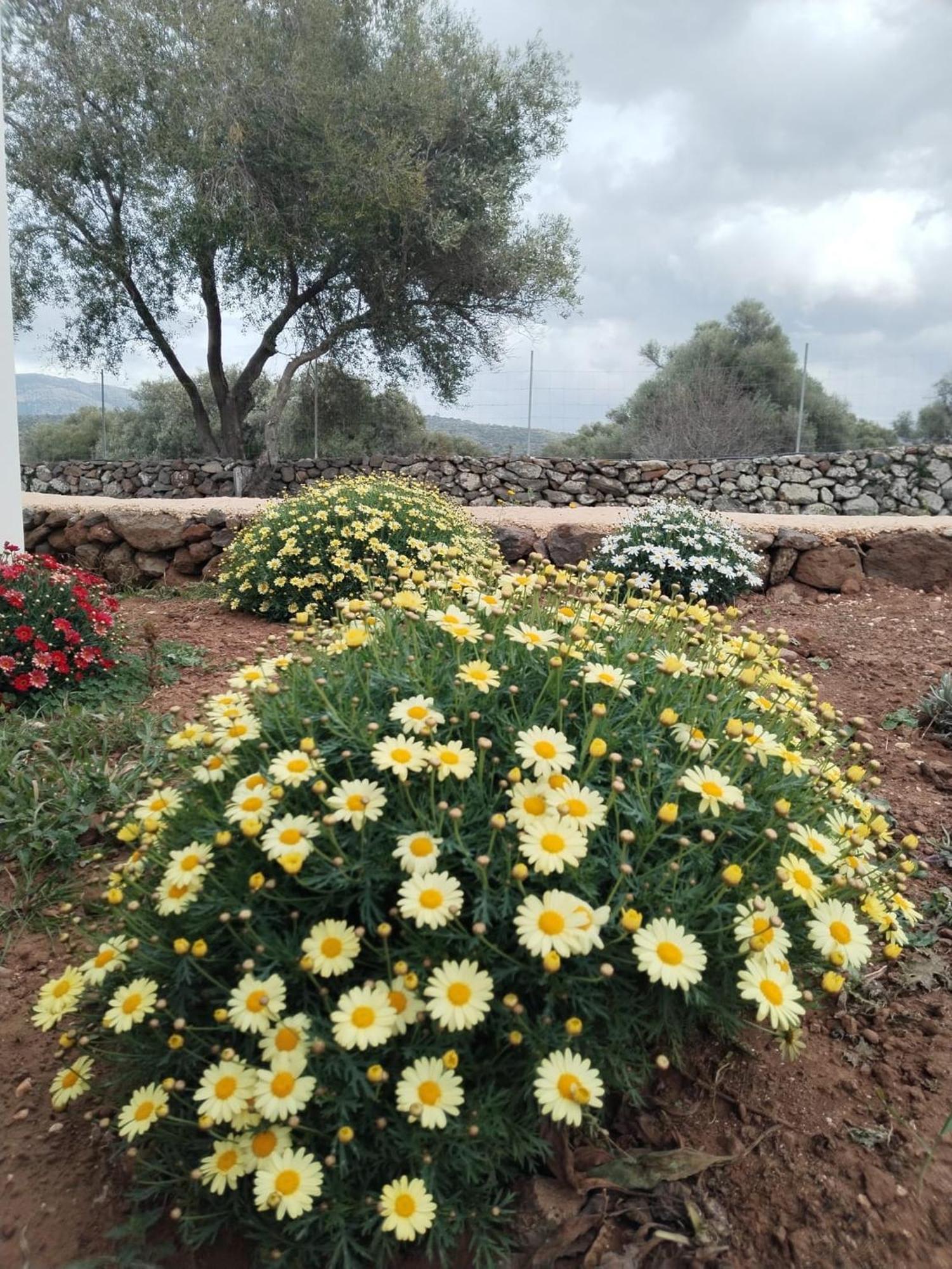 דורגלי Farmhouse La Croisette - Agriturismo מראה חיצוני תמונה