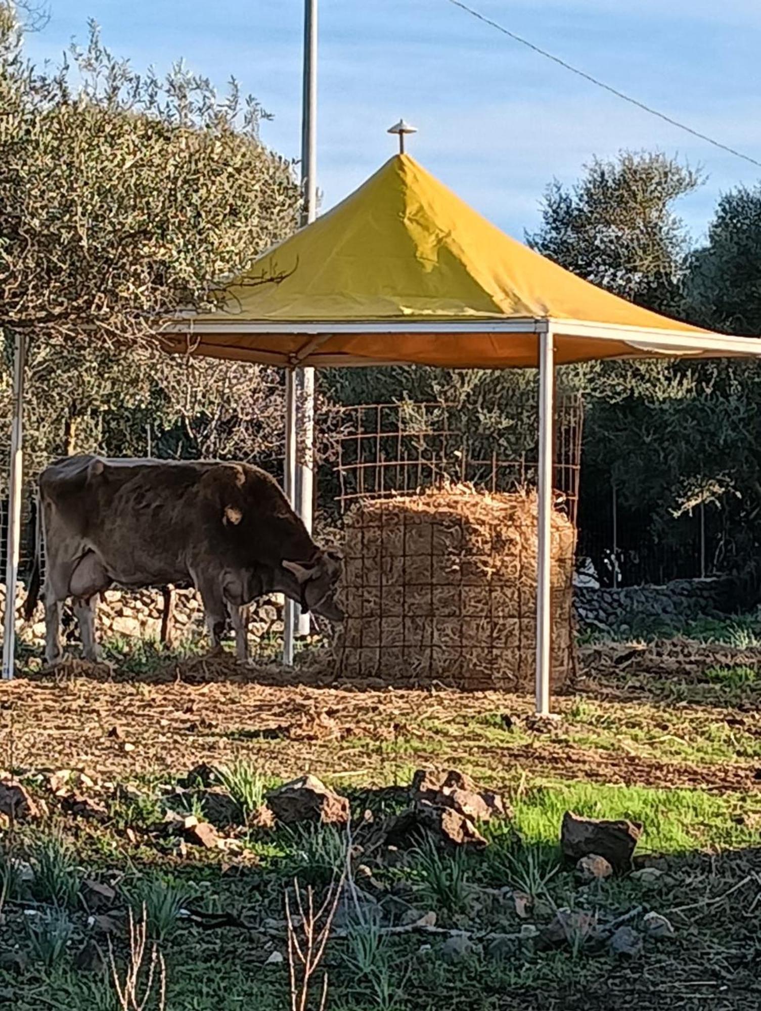 דורגלי Farmhouse La Croisette - Agriturismo מראה חיצוני תמונה